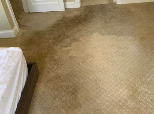 water damage carpet_P
